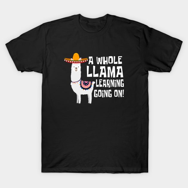 A Whole Llama Learning Going On! T-Shirt by amalya